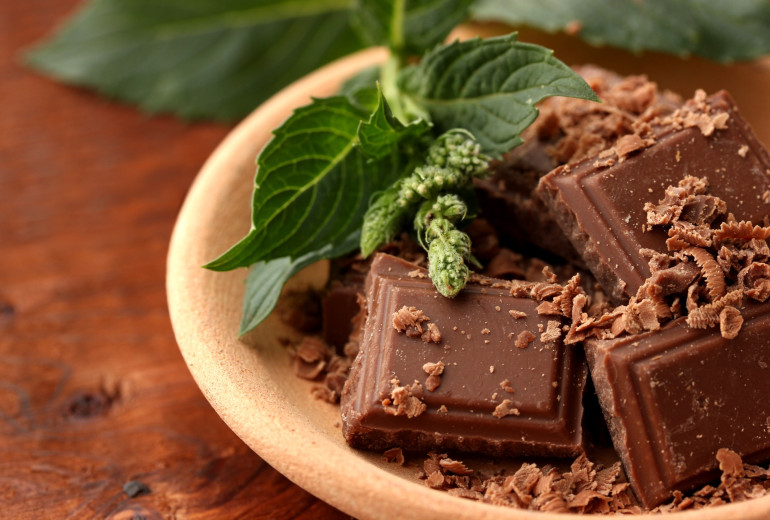 Pieces of chocolate and mint